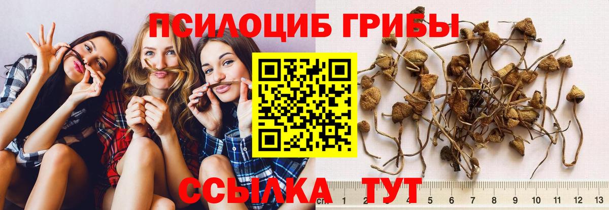 Псилоцибиновые грибы Magic Shrooms Дзержинский